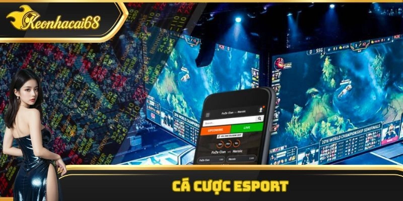 C&aacute; Cược Esport