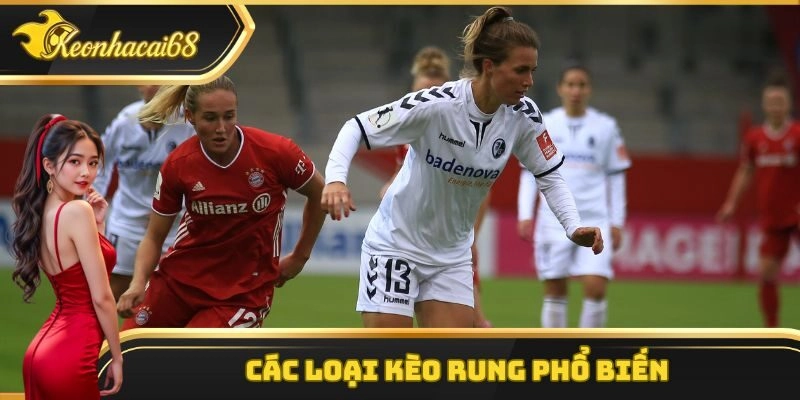 C&aacute;c loại k&egrave;o rung phổ biến