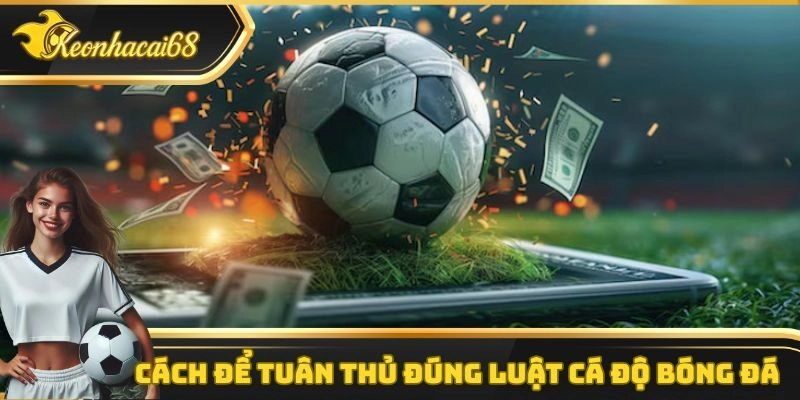 C&aacute;ch để tu&acirc;n thủ đ&uacute;ng luật c&aacute; độ b&oacute;ng đ&aacute;