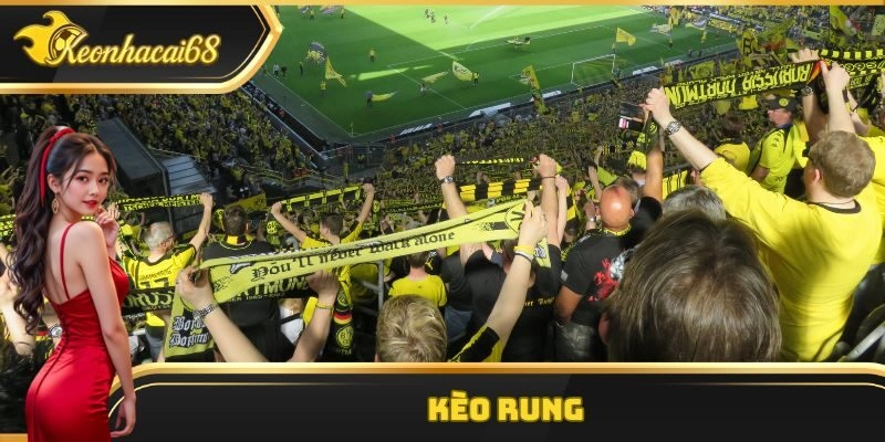 K&egrave;o Rung: Những Th&ocirc;ng Tin Quan Trọng Kh&ocirc;ng N&ecirc;n Bỏ Qua