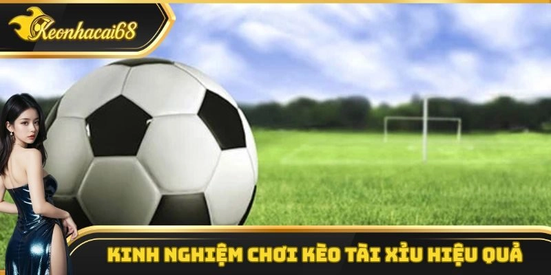 Kinh nghiệm chơi k&egrave;o t&agrave;i xỉu từ những cao thủ h&agrave;ng đầu