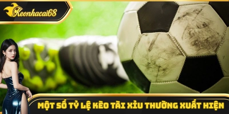 Những tỷ lệ k&egrave;o t&agrave;i xỉu phổ biến nhất tại keonhacai