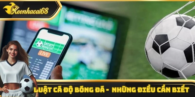 Luật C&aacute; Độ B&oacute;ng Đ&aacute; &ndash; Quy Định Ph&aacute;p L&yacute; V&agrave; Những Điều Cần Biết